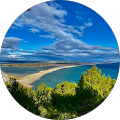 Avatar de D4Calamar.