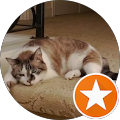 User profile - rui chen.