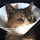 Eifion Bedford's profile photo