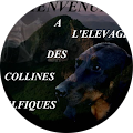 Avis de Elodie.h avec une note de 5 sur 5