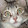 Nature Lover's profile photo