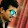 nithin ks's profile photo