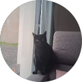 Avatar de Dorothée.e