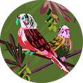 Avatar de Lisa.e