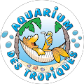 Avis de Aquarium.e avec une note de 3 sur 5