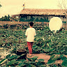 vohanhthu2202
