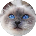 Avatar de Nathalie.o