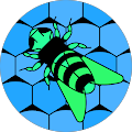 Bee Sou