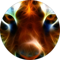 Avatar de DIEGO.e