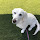 Bonnie's profile photo