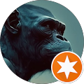 Avatar de Loïc.e