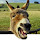 Peter Andersson's profile photo