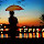 jisha shanavas's profile photo