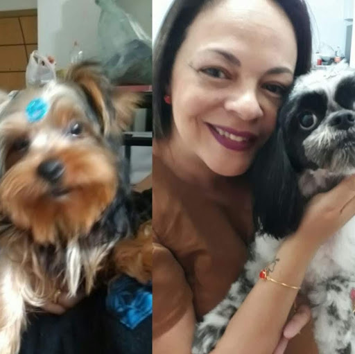 Vets Of All São Mateus | Hospital Veterinário em Jardim Vera Cruz | Veterinários 24 horas — foto 5