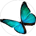 Avatar de Gaëlle.s