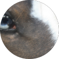 Avatar de Alexandre.E