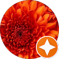 geek software GmbH - Berlin