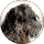 TM Bleecker profile picture