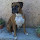 lpo...@gmail.com's profile photo