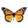 IcyPolls.com's profile photo