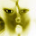 gabriele...@gmail.com's profile photo