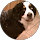 Mike Frías profile picture