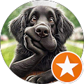 Sportverein der Hundefreunde Singen u. Umgebung e.V. - Singen (Hohentwiel)