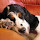 Addio VOIP's profile photo