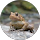 E Dylan profile picture