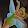 yrzira's profile photo