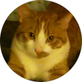 Reviewer Image