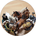Elke Rozendaal Hundesalon - Xanten