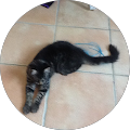 Avatar de mickael.r