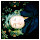 Maren Haynes's profile photo