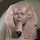 baldm...@gmail.com's profile photo