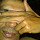 khacho...@gmail.com's profile photo