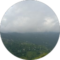 Reviewer Image