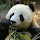 Łukasz's profile photo