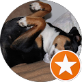 H.-J. Kirchner Hundezucht - Drachselsried