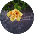 Avatar de francoise.e