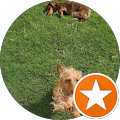 Big Giant Media, Inc. - 