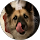 Fu X profile picture