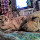 clea...@msn.com's profile photo