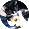 Review Author Image
