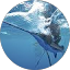 N W Avatar