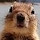 Rambie's profile photo