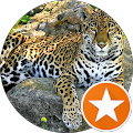 Avatar de viouviou56.