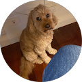 User profile - Greg Christopher.
