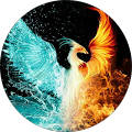 Avis de Phoenix.T avec une note de 5 sur 5