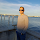ruilimat's profile photo